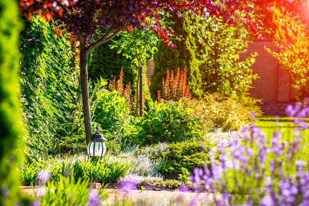 Beautiful,Landscaping,With,Beautiful,Plants,And,Flowers